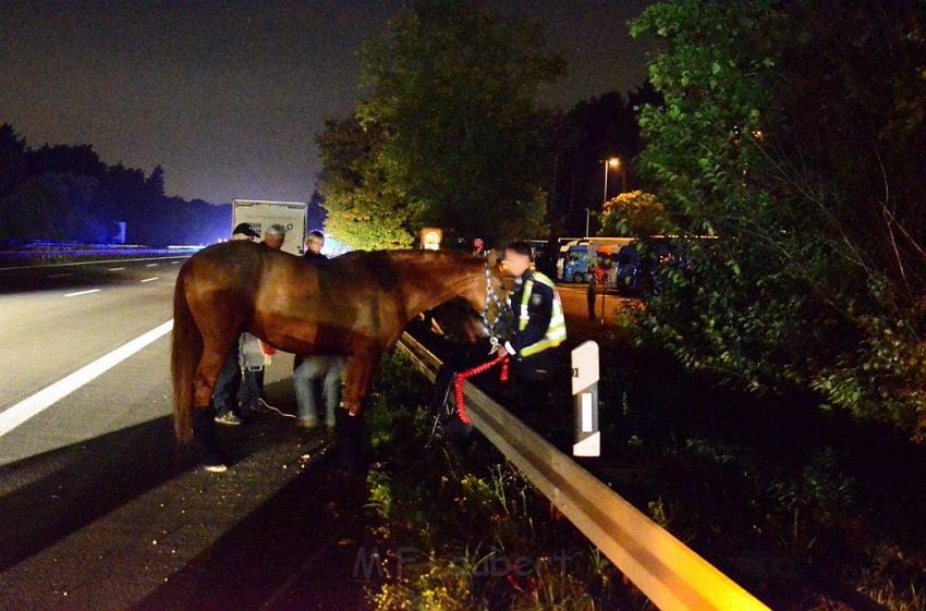 VU A3 Rich Koeln AS Lohmar Rastplatz Koenigsforst  P54.jpg